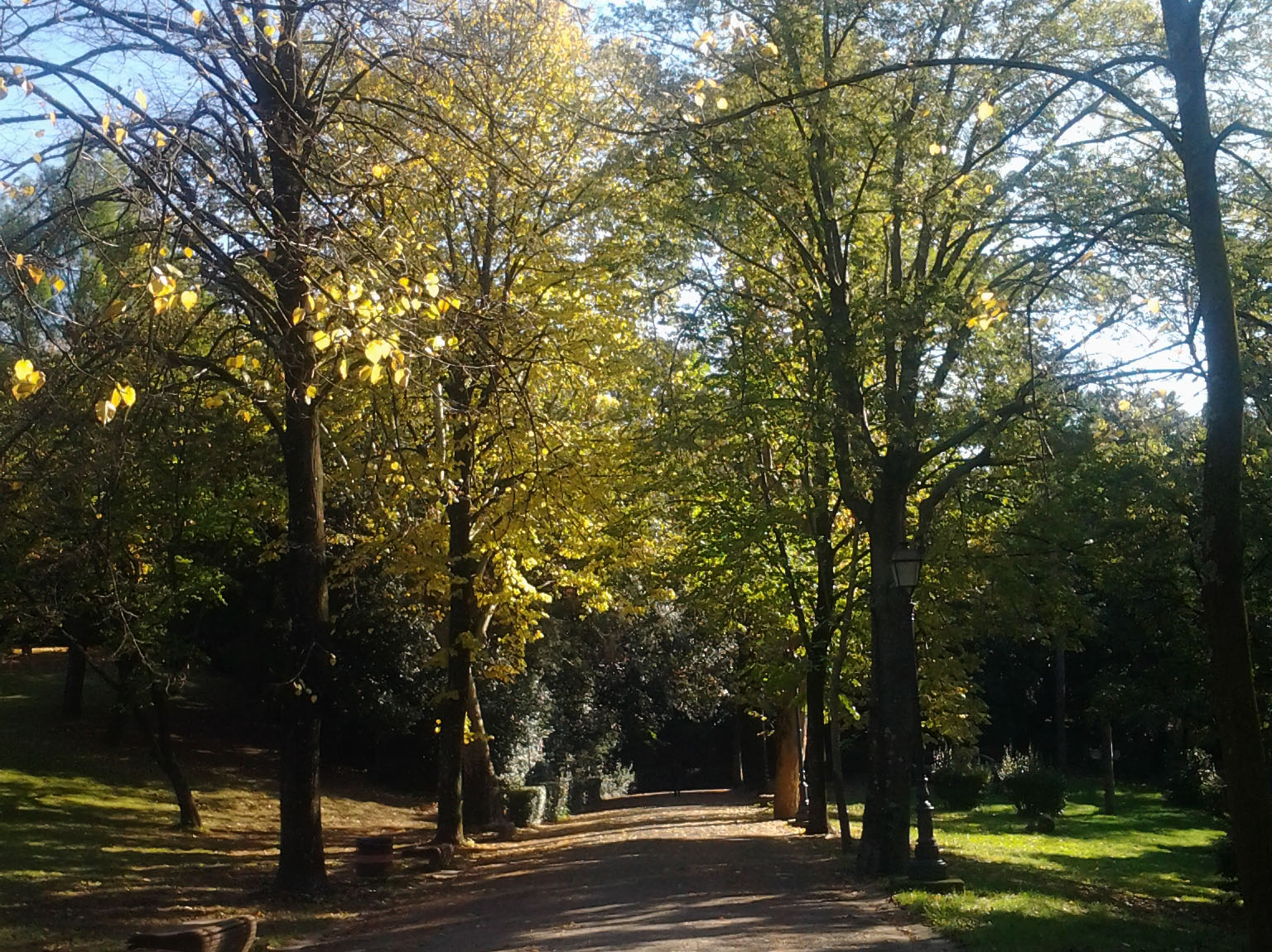 Parco di Villa Strozzi al Boschetto