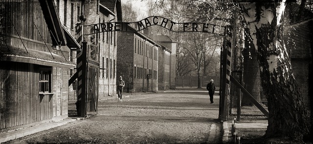 auschwitz, giornata della memoria