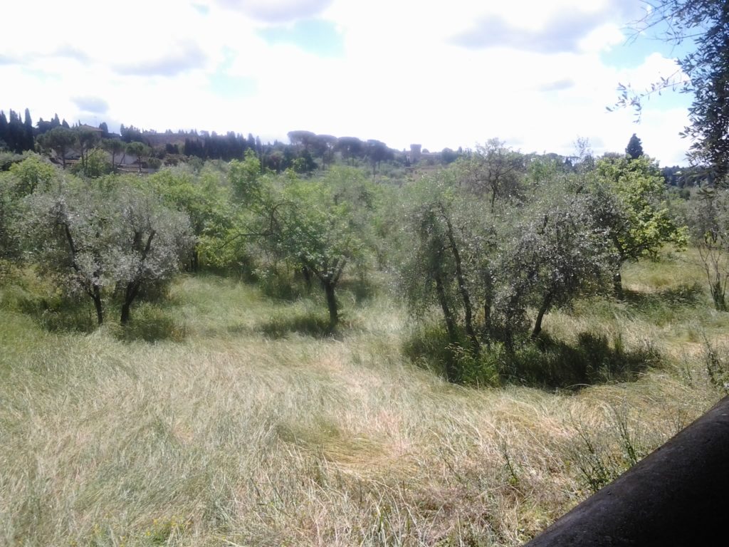 Le campagne di Monte Oliveto appena sopra il parco del Boschetto