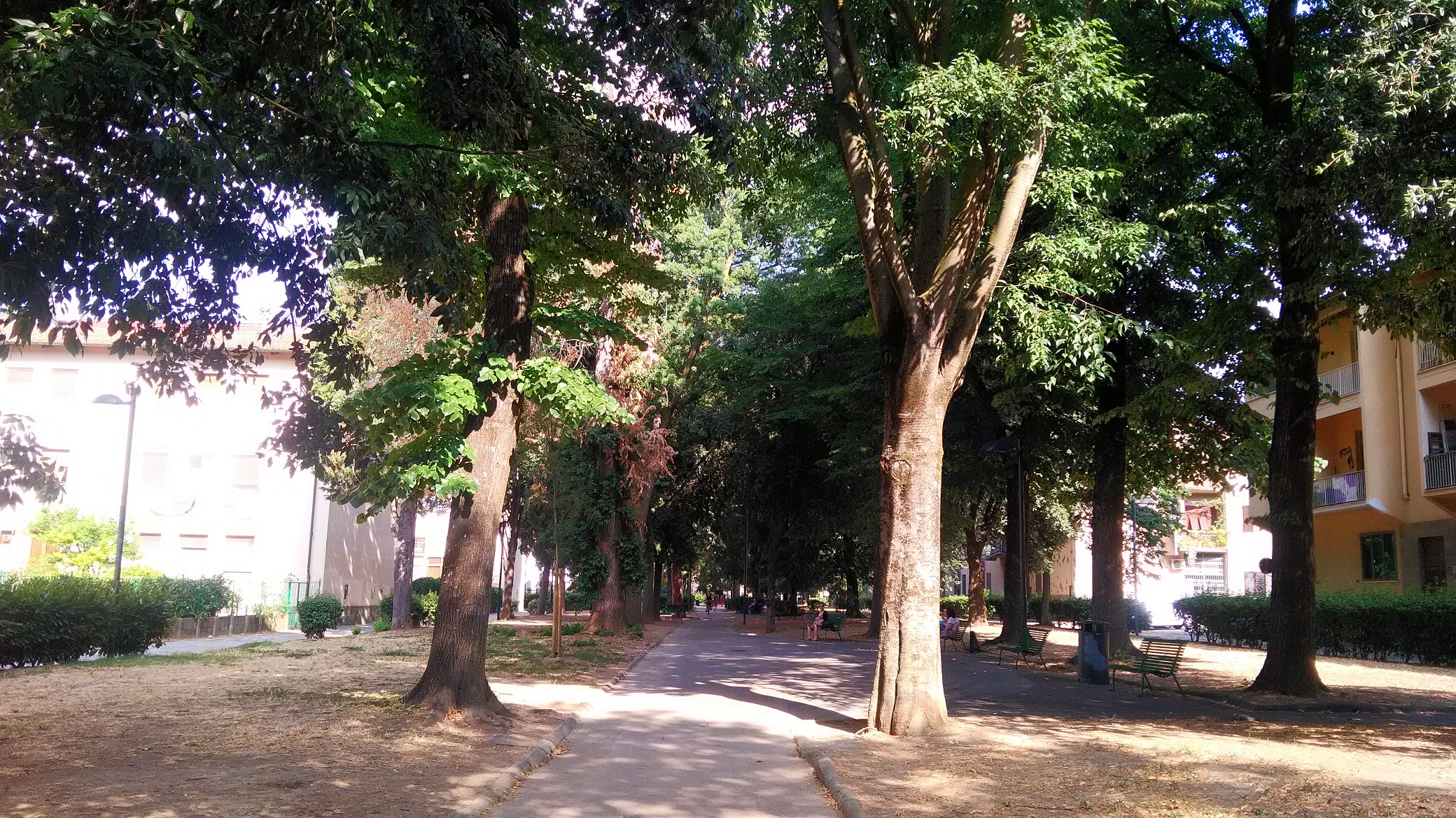 viale dei bambini (1)