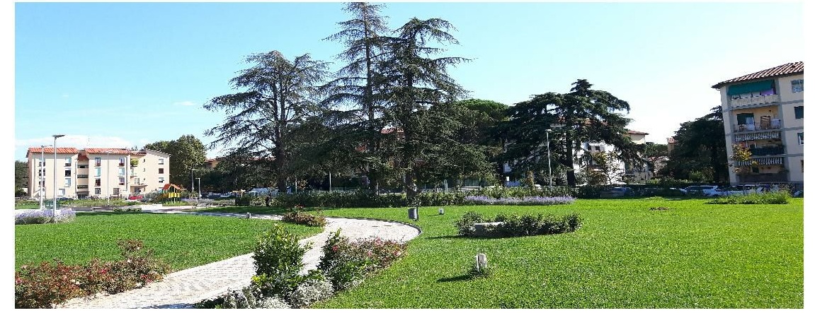 giardino quadrilatero verde