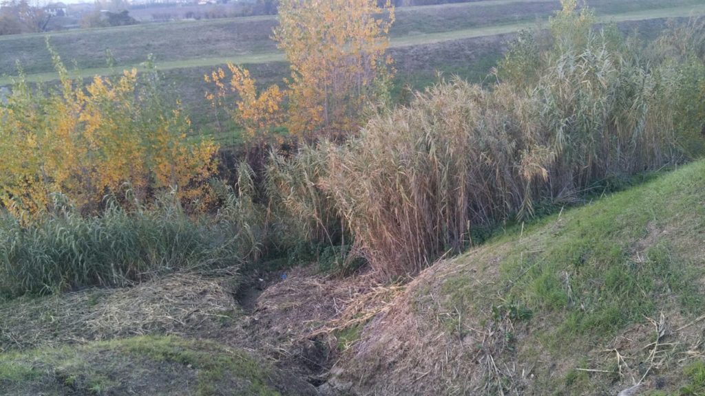 trekking urbano firenze percorso sentiero greve arno (1)