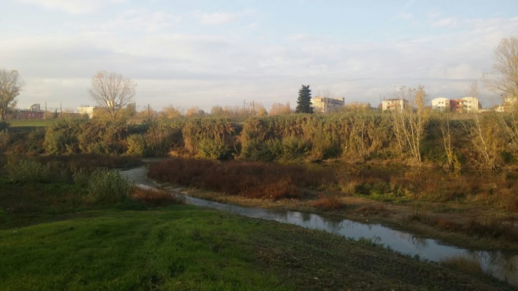 La Greve nel nostro quartiere mostra ancora sulle sue sponde la naturale vegetazione palustre