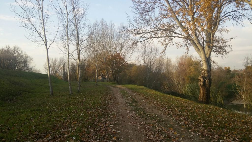 trekking urbano firenze percorso sentiero greve arno (17)