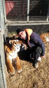 Circo Medrano addestratore Giordano Caveagna e le sue tigri (7)