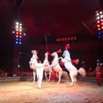 Circo Medrano Firenze Isolotto