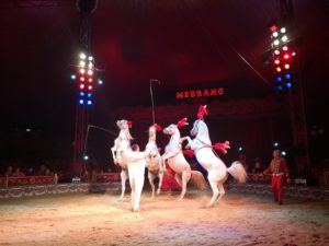 Circo Medrano Firenze Isolotto