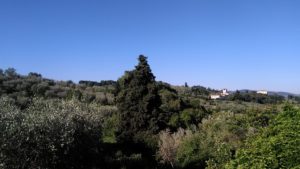 villa dei cipressi bellosguardo (3)