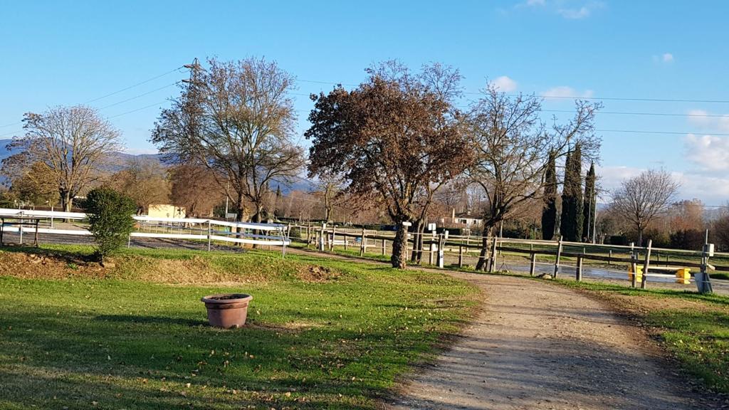 centro equestre fiorentino