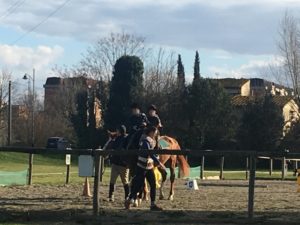 centro equestre fiorentino ippoterapia