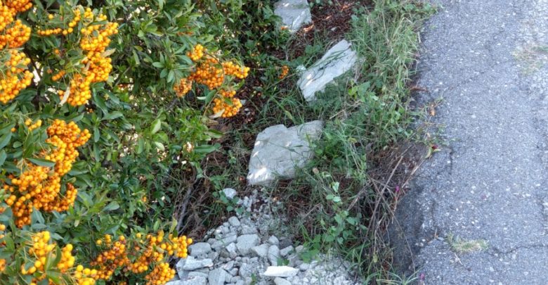 materiali di risulta rifiuti edili abbanonati vicino parco dell'argingrosso (3)