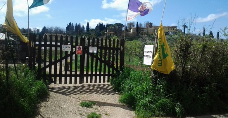 azienda agricola bencini via guardavia