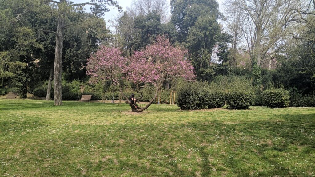 Parco del Boschetto a Villa Strozzi