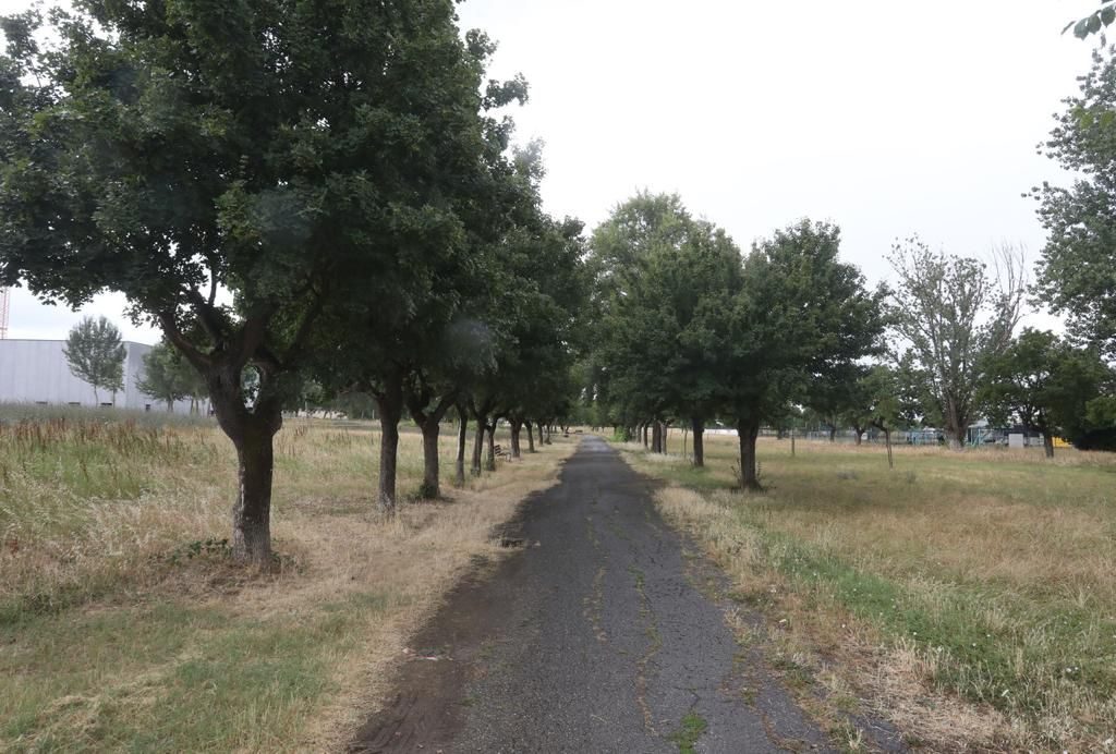 parco San bartolo a Cintoia Cavallaccio 2