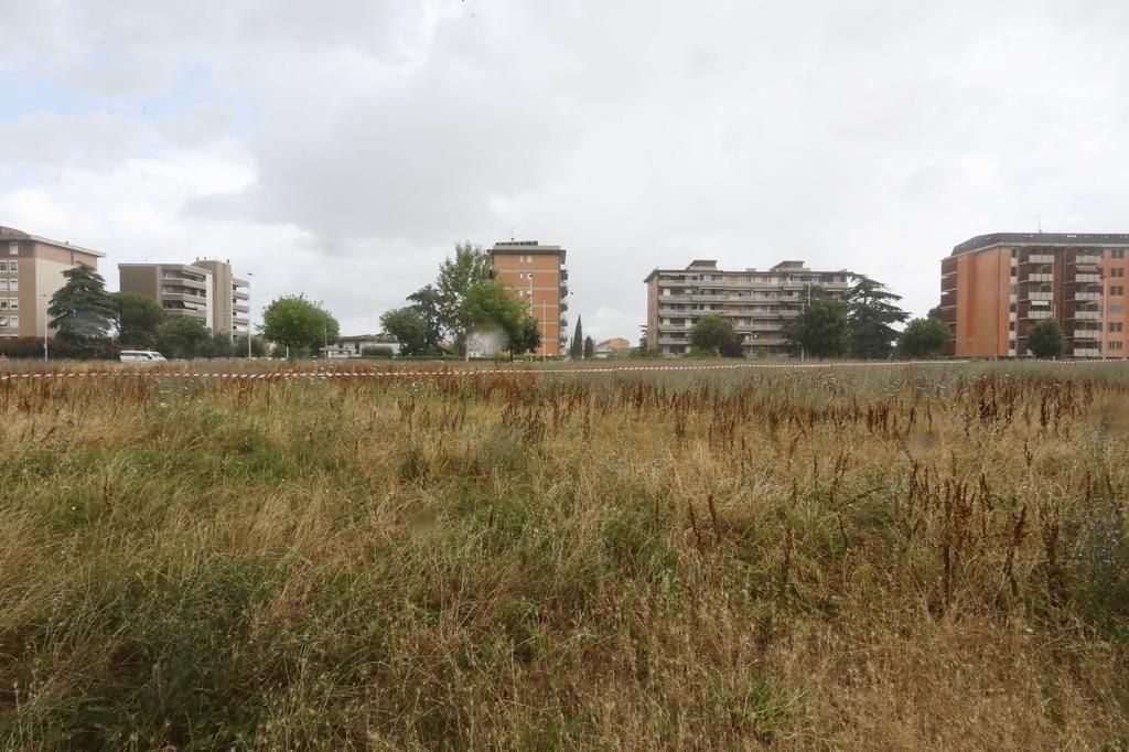 parco San bartolo a Cintoia Cavallaccio 3