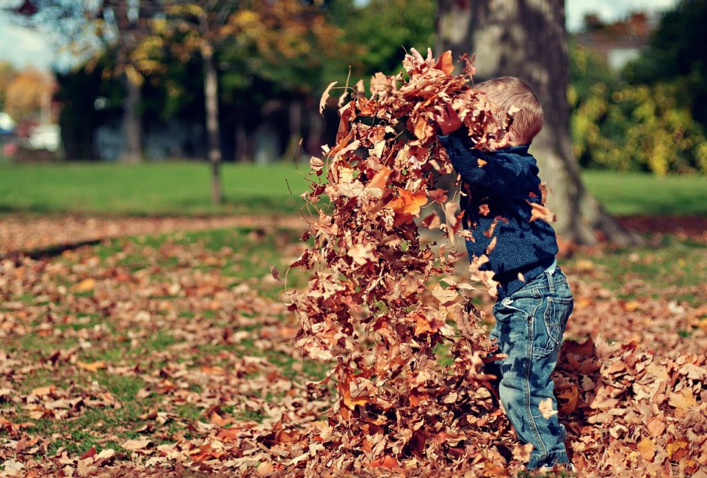 bambino foglie autunno
