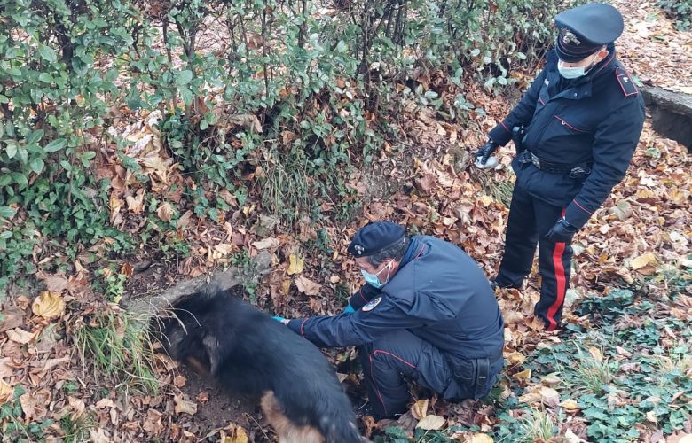 Unità cinofile dei carabinieri alla ricerca di droga, foto d'archivio