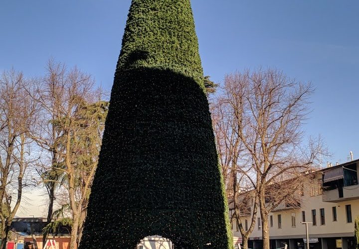 albero di Natale piazza dell'Isolotto 2021 (5)