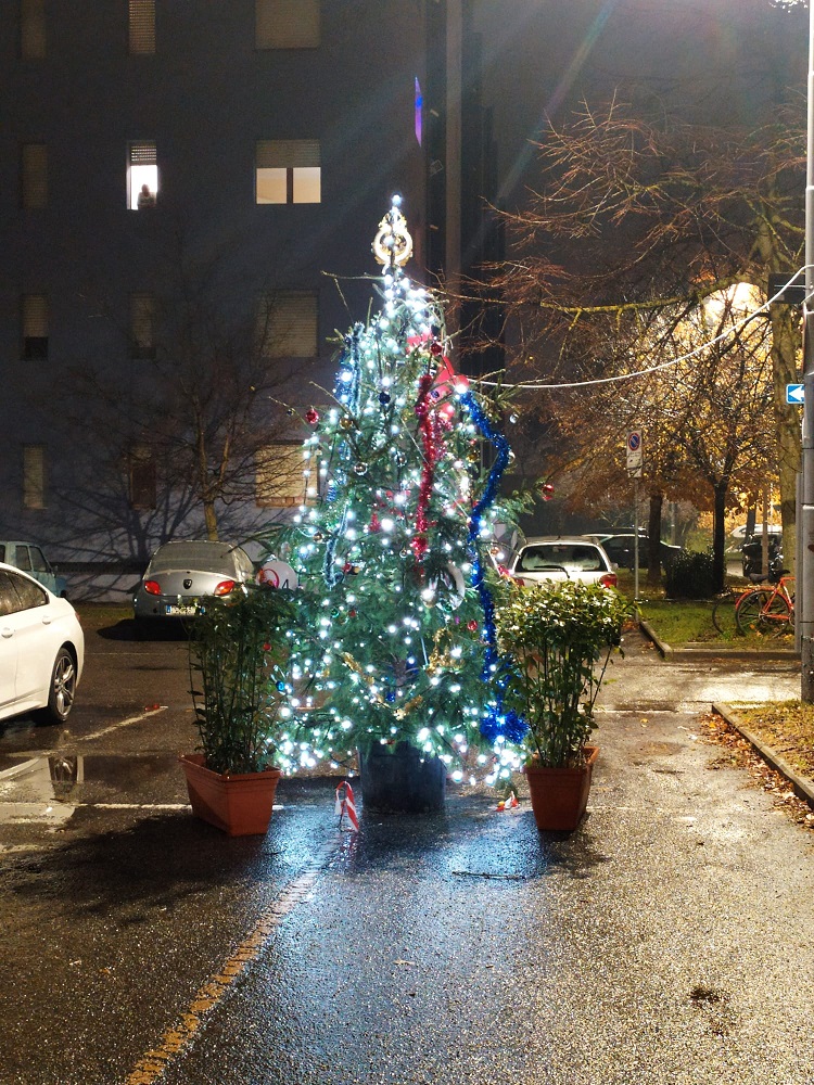 L'albero di Natale al Cavallaccio, in via della Casella