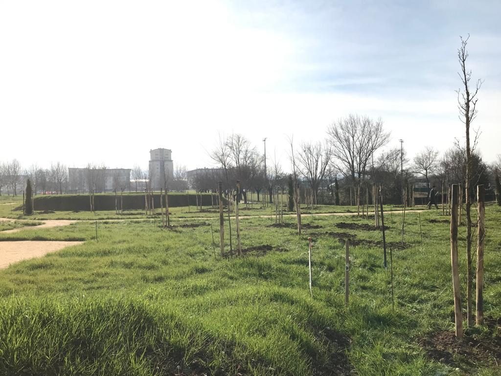 parco San Bartolo a Cintoia cavallaccio 2