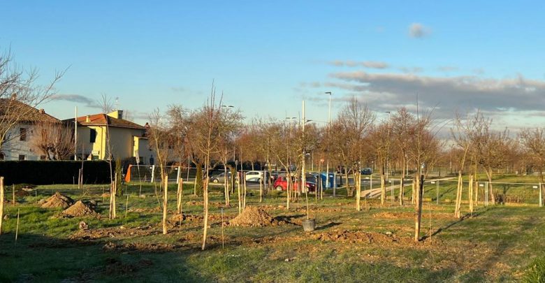 parco San Bartolo a Cintoia cavallaccio