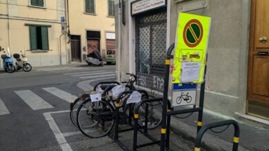 Rastrelliere biciclette legnaia