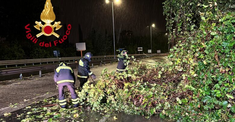 Ponte all'Indiano albero