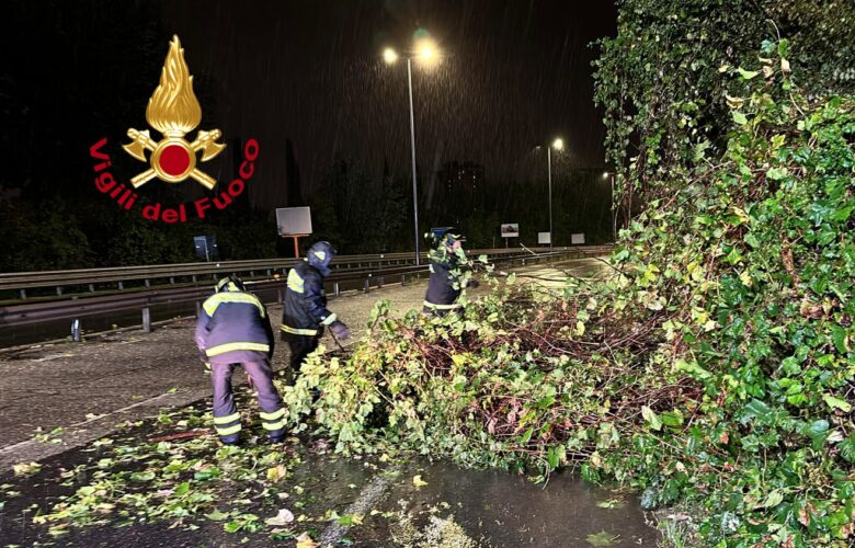 Ponte all'Indiano albero